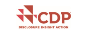 CDP logo