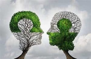 Two Tree Talking Heads